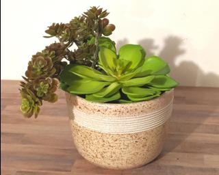 A soft pink and white freckled planter to dress up your shelf.