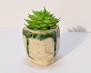 A small little planter for your table.
