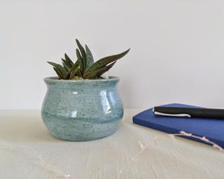 A sweet little planter for your shelf.
