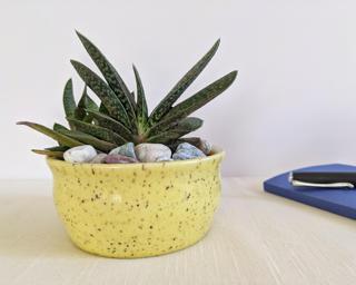 A sweet little planter for your shelf. small crack on bottom