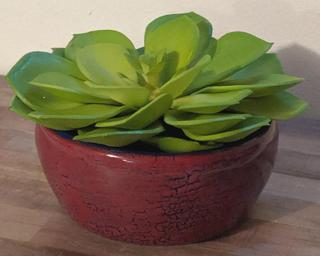A bold and unique planter for your table.