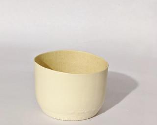 A sweet little planter for your table.