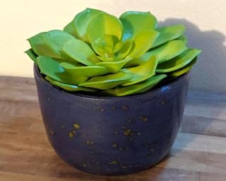 A bright little summer planter for your table.