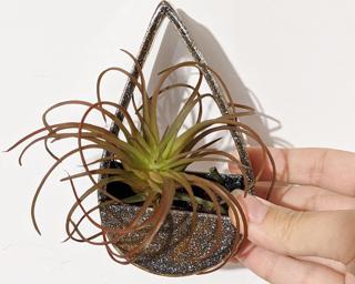 A sweet little vase or planter for your wall.