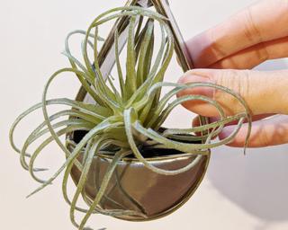 A sweet little vase or planter for your wall.