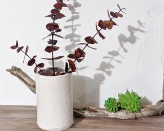 A cylindrical vase for your window sill.
