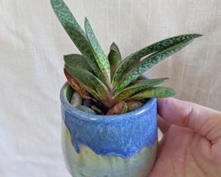 A sweet little planter (or vase) for your shelf.