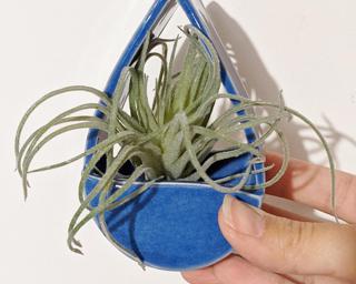 A sweet little vase or planter for your wall.