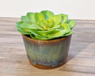 Here is the perfect little planter for your succulents or pothos.