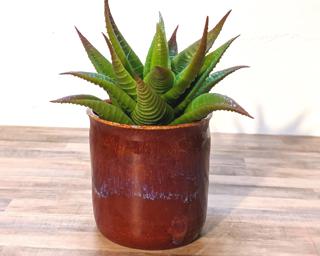 A sweet little planter for your window sill.