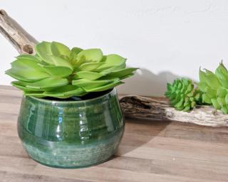 A nice little planter or bowl for your table.