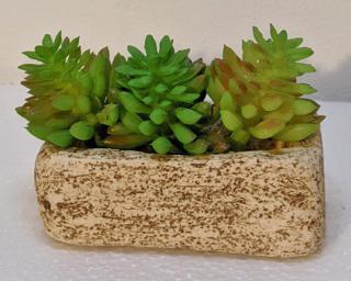 A small and unique piece for your table.